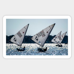 Lasers Sailing in Silhouette Sticker